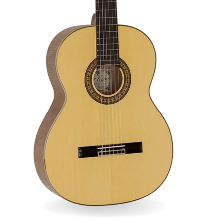 Guitarra Salvador Cortez CS-65