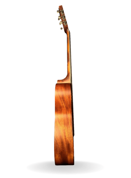 Guitarra Bromo BAR6H-HS | ZambraGuitars.com