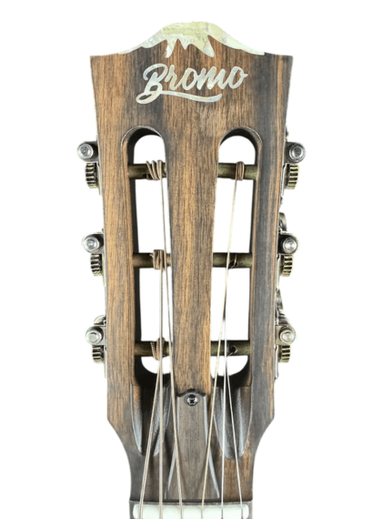 Guitarra Bromo BAR6H-HS | ZambraGuitars.com
