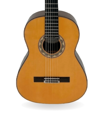 Guitarra Modesto Malla Excelencia