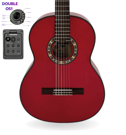 Guitarra Modesto Malla Farruca