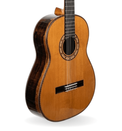 Guitarra Antonio de Toledo ATF-17Z
