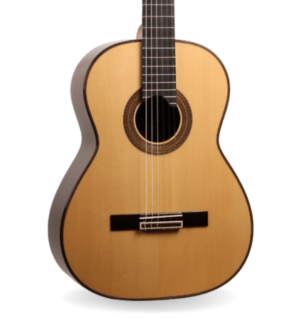 guitarra antonio de toledo at-25
